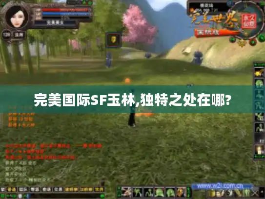 完美国际SF玉林,独特之处在哪?