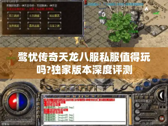 鹜忧传奇天龙八服私服值得玩吗?独家版本深度评测