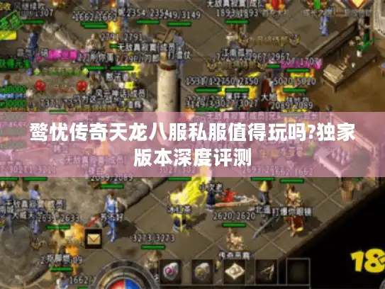 鹜忧传奇天龙八服私服值得玩吗?独家版本深度评测