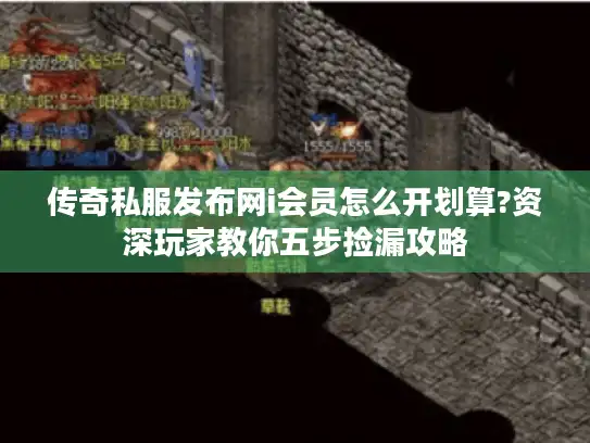 传奇私服发布网i会员怎么开划算?资深玩家教你五步捡漏攻略