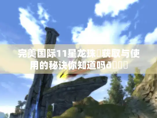 完美国际11星龙珠❓获取与使用的秘诀你知道吗😎 完美国际11星龙珠❓获取与使用的秘诀你知道吗😎