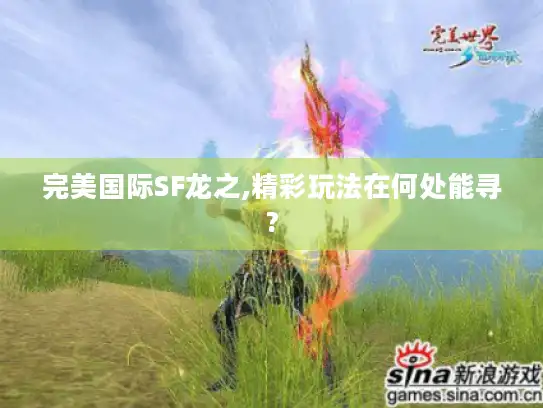 完美国际SF龙之,精彩玩法在何处能寻?