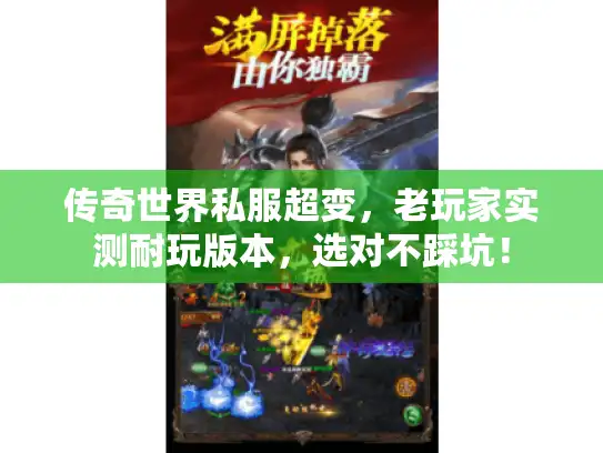 传奇世界私服超变，老玩家实测耐玩版本，选对不踩坑！