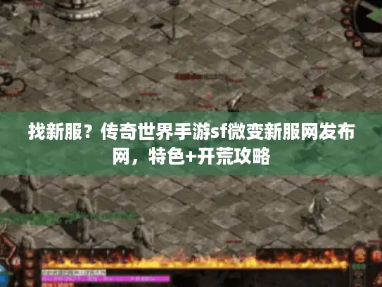 找新服?传奇世界手游sf微变新服网发布网,特色+开荒攻略 找新服?传奇世界手游sf微变新服网发布网,特色+开荒攻略