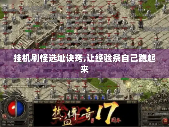 挂机刷怪选址诀窍,让经验条自己跑起来