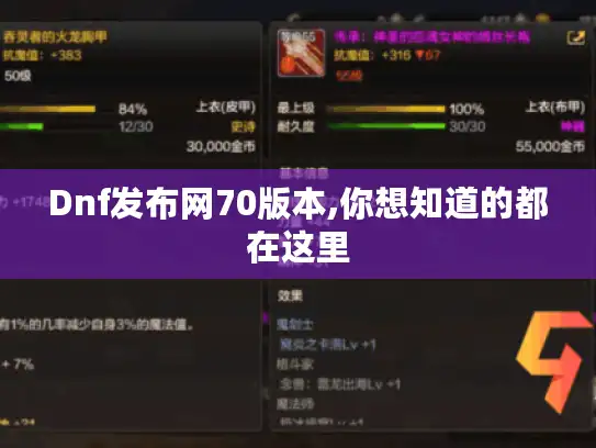 Dnf发布网70版本,你想知道的都在这里
