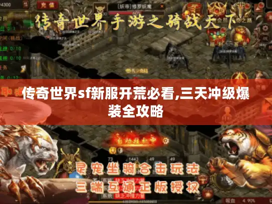 传奇世界sf新服开荒必看,三天冲级爆装全攻略