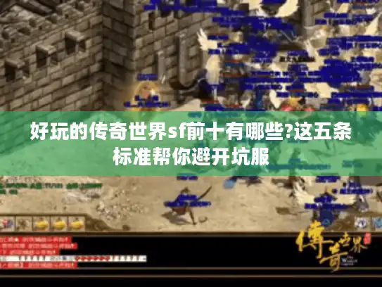 好玩的传奇世界sf前十有哪些?这五条标准帮你避开坑服