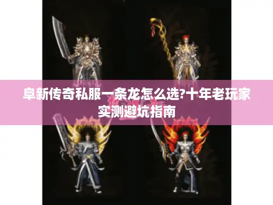 阜新传奇私服一条龙怎么选?十年老玩家实测避坑指南