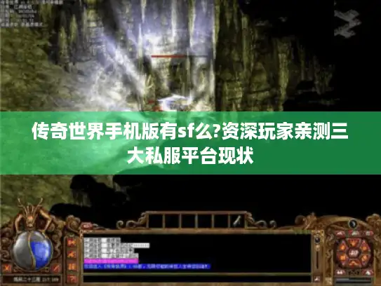 传奇世界手机版有sf么?资深玩家亲测三大私服平台现状