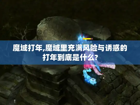 魔域打年,魔域里充满风险与诱惑的打年到底是什么?