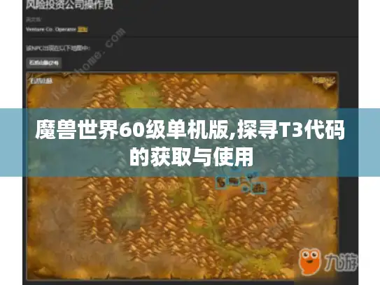 魔兽世界60级单机版,探寻T3代码的获取与使用