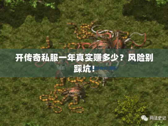 开传奇私服一年真实赚多少？风险别踩坑！