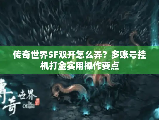 传奇世界SF双开怎么弄?多账号挂机打金实用操作要点 传奇世界SF双开怎么弄?多账号挂机打金实用操作要点