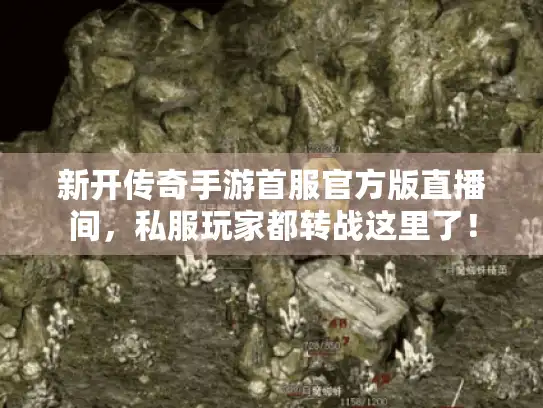 新开传奇手游首服官方版直播间，私服玩家都转战这里了！