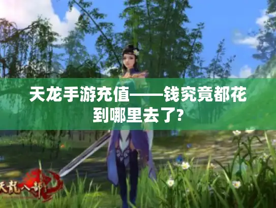 天龙手游充值——钱究竟都花到哪里去了?