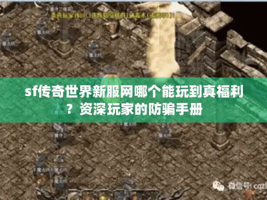 sf传奇世界新服网哪个能玩到真福利？资深玩家的防骗手册