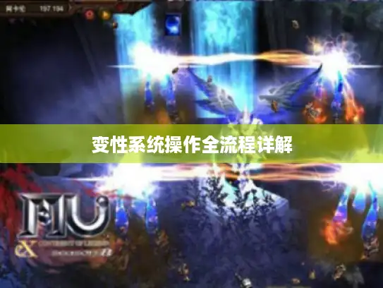 变性系统操作全流程详解