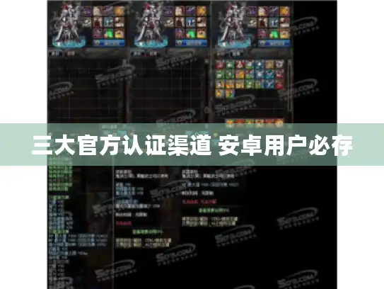 三大官方认证渠道 安卓用户必存