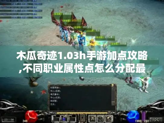 木瓜奇迹1.03h手游加点攻略,不同职业属性点怎么分配最合理?