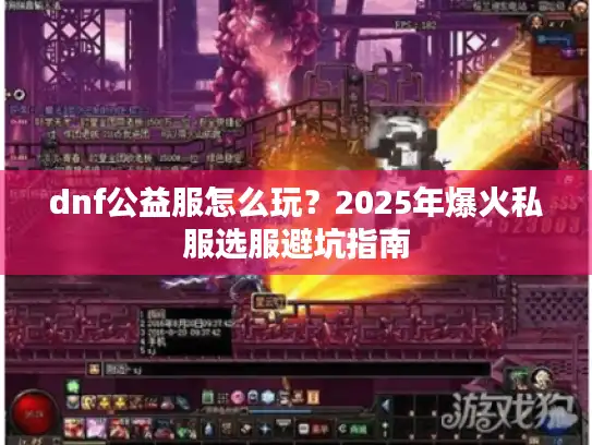 dnf公益服怎么玩？2025年爆火私服选服避坑指南
