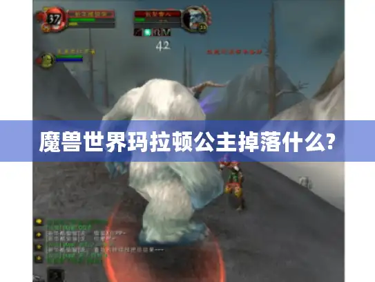 魔兽世界玛拉顿公主掉落什么?