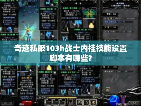 奇迹私服103h战士内挂技能设置脚本有哪些?