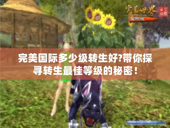 完美国际多少级转生好?带你探寻转生最佳等级的秘密！