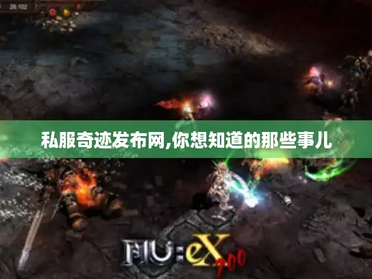 私服奇迹发布网,你想知道的那些事儿