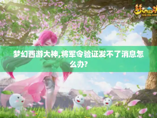 梦幻西游大神,将军令验证发不了消息怎么办?