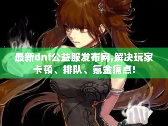 最新dnf公益服发布网,解决玩家卡顿、排队、氪金痛点!