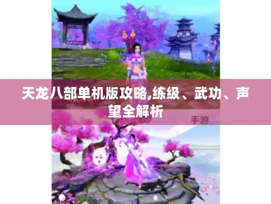 天龙八部单机版攻略,练级、武功、声望全解析