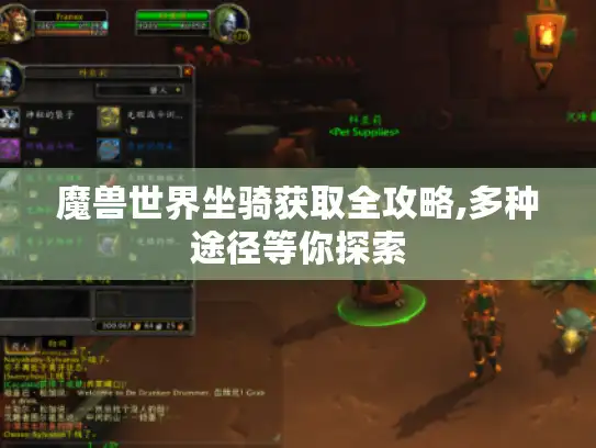 魔兽世界坐骑获取全攻略,多种途径等你探索