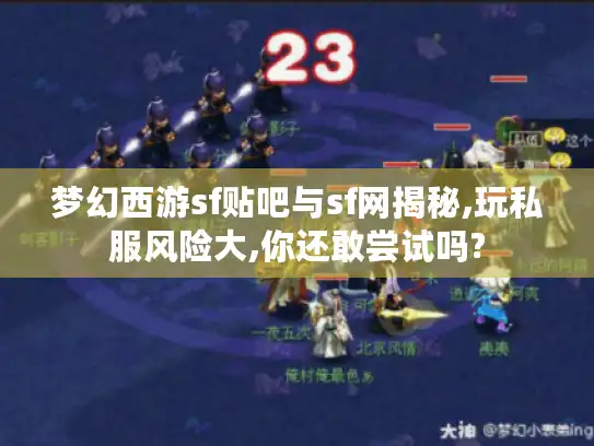 梦幻西游sf贴吧与sf网揭秘,玩私服风险大,你还敢尝试吗?