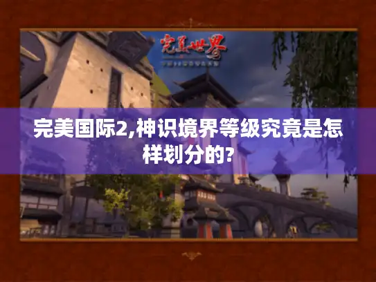 完美国际2,神识境界等级究竟是怎样划分的?