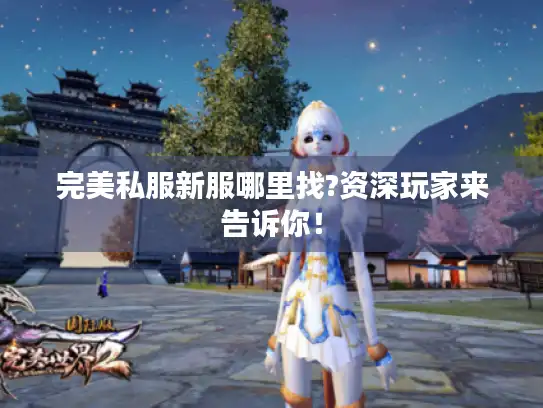 完美私服新服哪里找?资深玩家来告诉你！