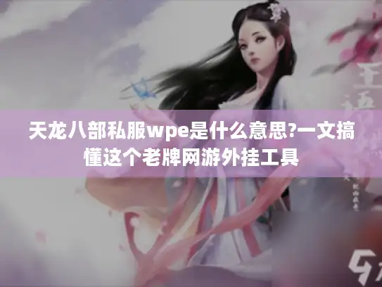 天龙八部私服wpe是什么意思?一文搞懂这个老牌网游外挂工具