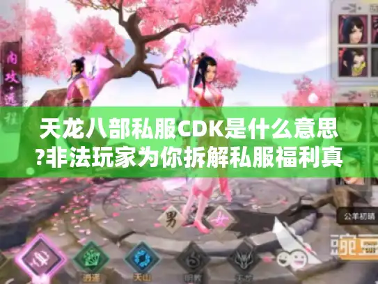 天龙八部私服CDK是什么意思?非法玩家为你拆解私服福利真相!