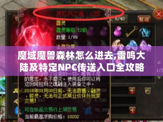 魔域魔兽森林怎么进去,雷鸣大陆及特定NPC传送入口全攻略 魔域魔兽森林怎么进去,雷鸣大陆及特定NPC传送入口全攻略