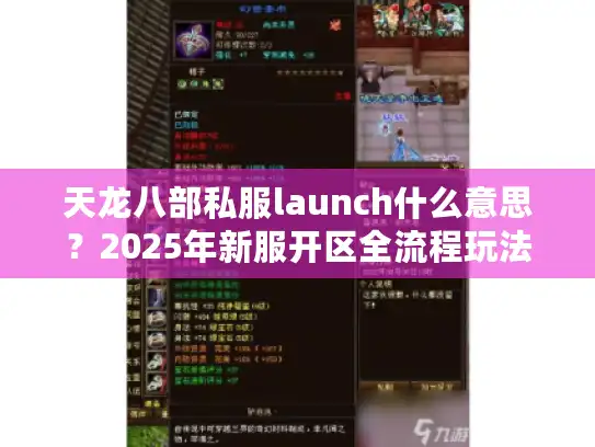 天龙八部私服launch什么意思？2025年新服开区全流程玩法详解