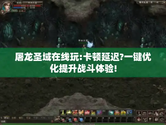 屠龙圣域在线玩:卡顿延迟?一键优化提升战斗体验!
