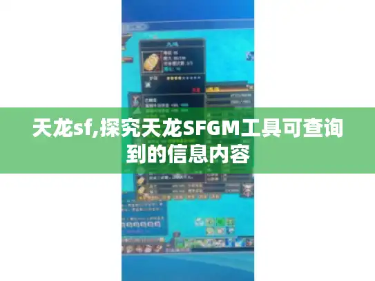 天龙sf,探究天龙SFGM工具可查询到的信息内容