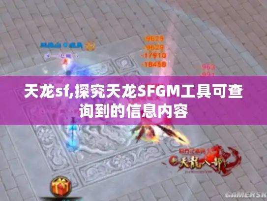 天龙sf,探究天龙SFGM工具可查询到的信息内容
