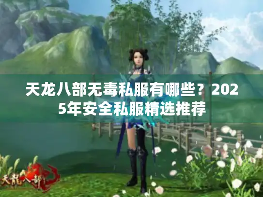 天龙八部无毒私服有哪些？2025年安全私服精选推荐