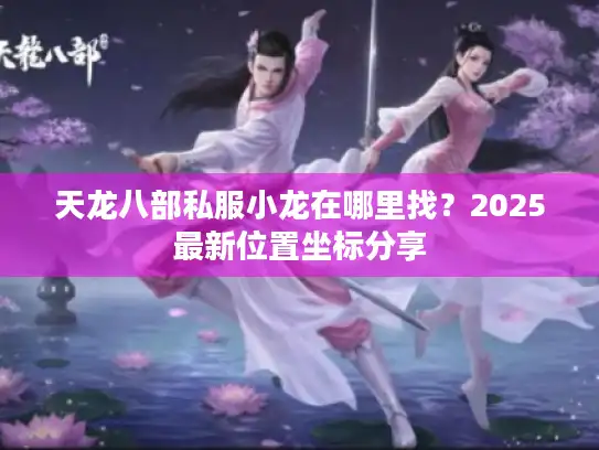 天龙八部私服小龙在哪里找？2025最新位置坐标分享