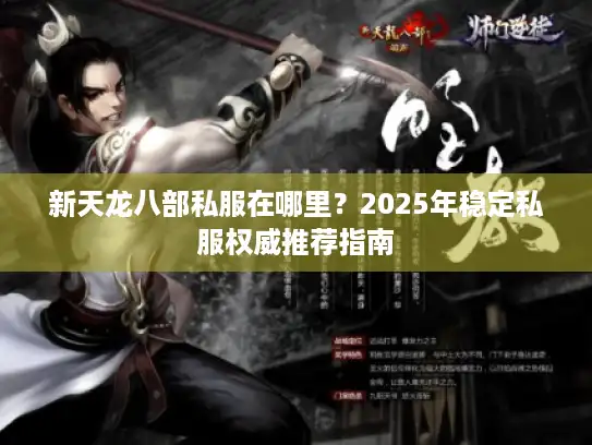 新天龙八部私服在哪里？2025年稳定私服权威推荐指南