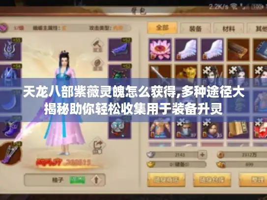 天龙八部紫薇灵魄怎么获得,多种途径大揭秘助你轻松收集用于装备升灵