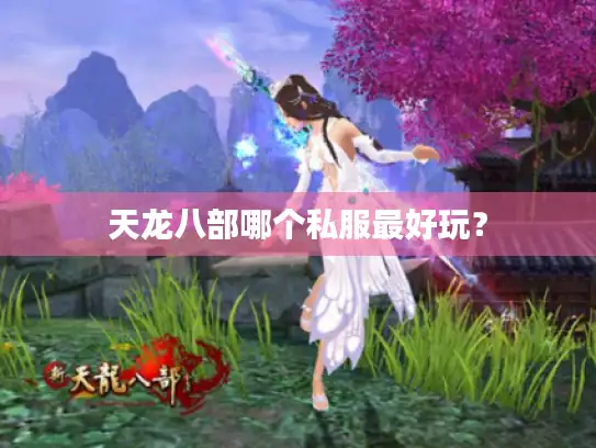天龙八部哪个私服最好玩？
