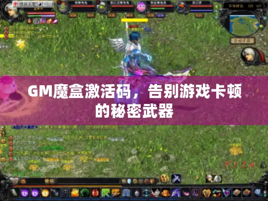 GM魔盒激活码，告别游戏卡顿的秘密武器