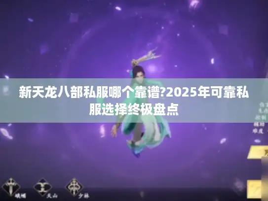 新天龙八部私服哪个靠谱?2025年可靠私服选择终极盘点